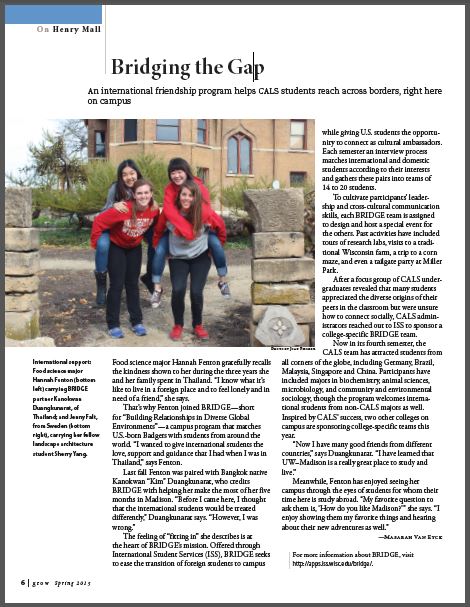 Bridging the Gap article image